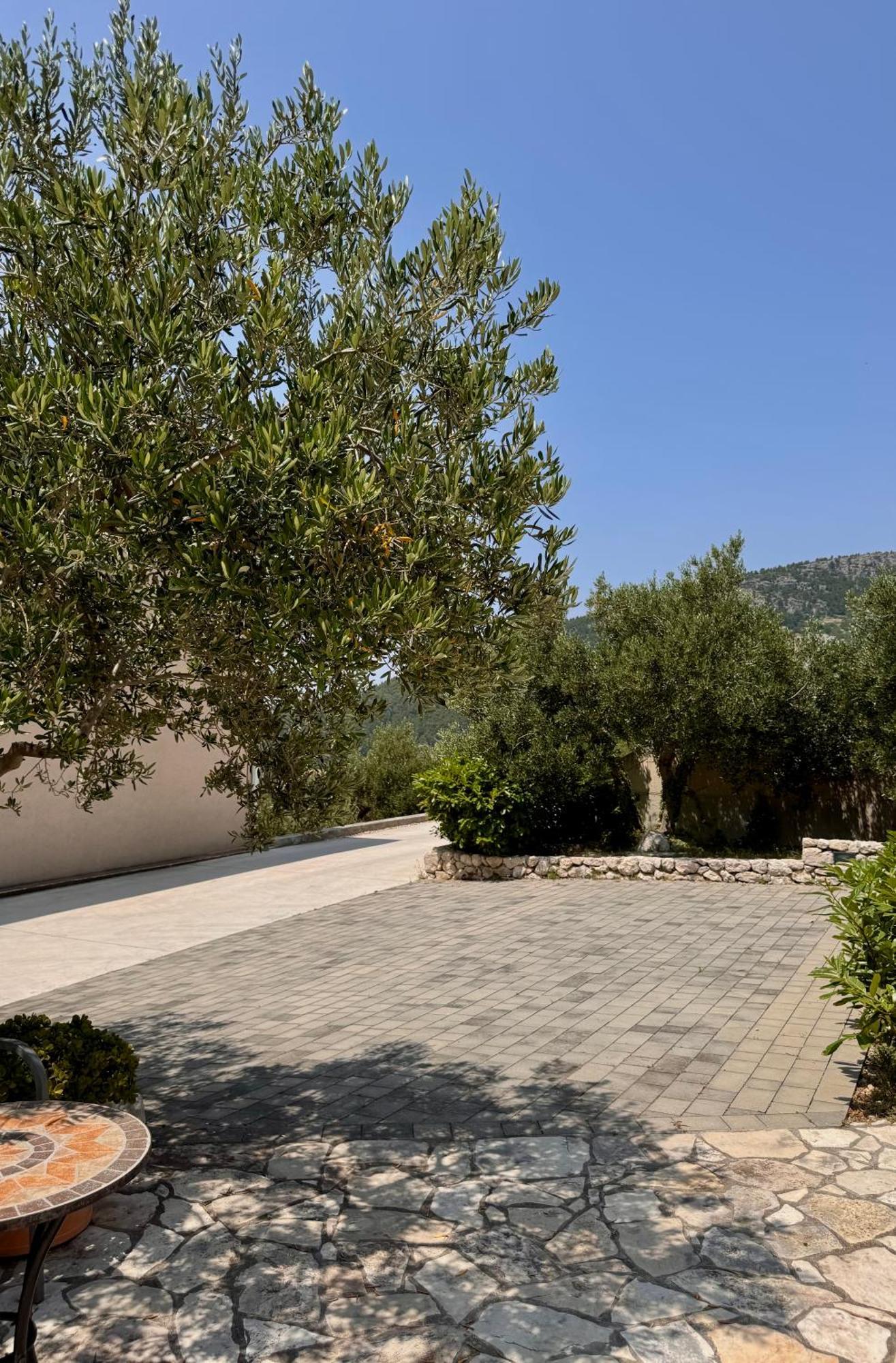 Denis * Makarska